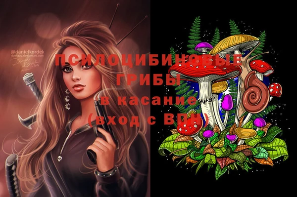 эйфоретик Аркадак