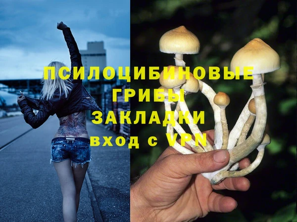 apvp Армянск
